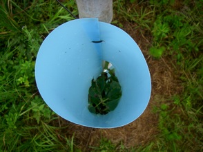 Top view of a tree protector.