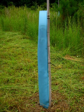 Tree protector installed around a tree.